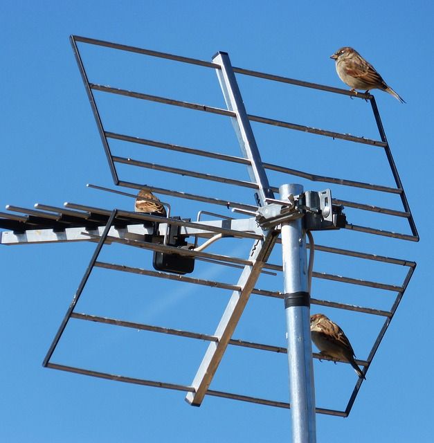 antenas inteligentes